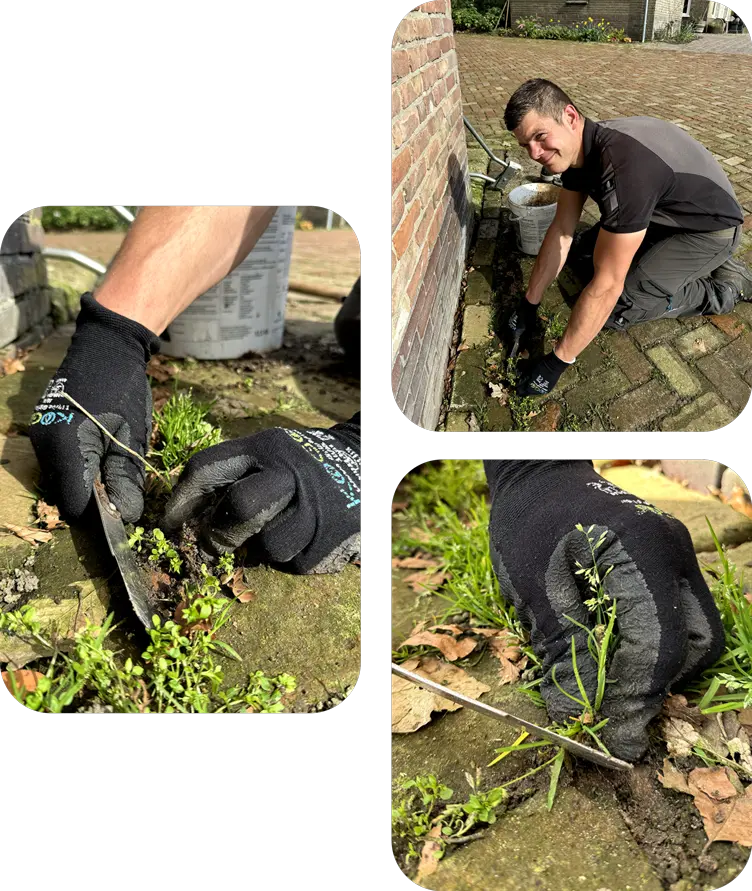 dave-onderhoud-onkruidbestrijding